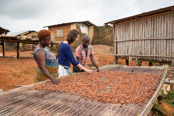 Farmers explain the drying process of cocoa beans to MGA student